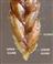  Spikelet with 2 glumes at base and rest florets